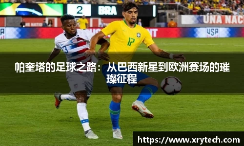 凤凰联盟app
